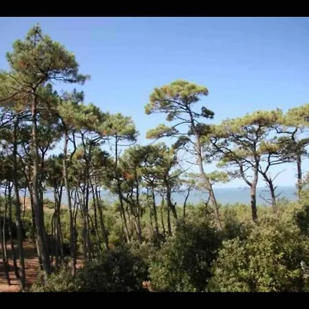 Rez De Jardin, St Brevin Les Pins, à Pieds